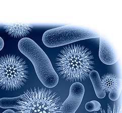 reduceer ziekteverzuim met micro bacteriologische reiniging